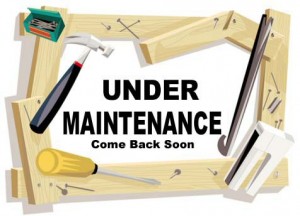 Pearl Like Website Maintenance services