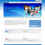 IT & Internet Marketing Website Portfolio
